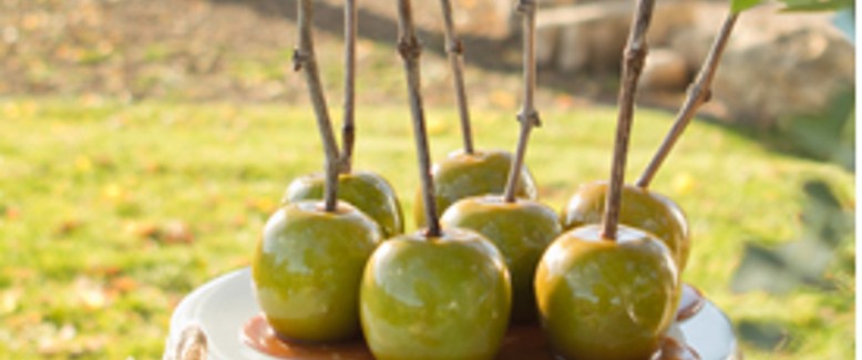 Handcrafted-Harvest–We're-Falling-for-These-Autumn-Crafts