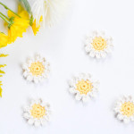 Sweet Daisies Crochet Pattern