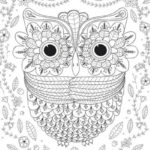 Big-Eyed-Owl-Adult-Coloring-Page_project