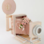 Artcraft camera Clearance